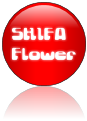 SHIFA
Flower