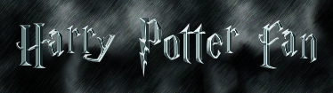 Harry Potter fan