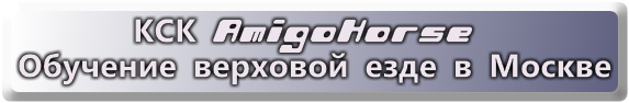       КСК AmigoHorseОбучение верховой езде в Москве