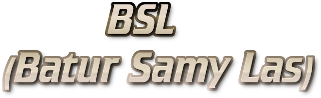          BSL
(Batur Samy Las)