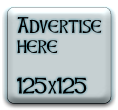 Budget Advertise On This Blog