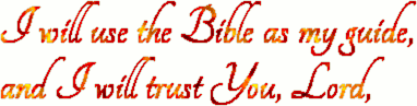 I will use the Bible as my guide, and I will trust You, Lord,