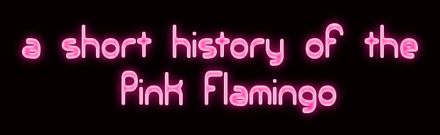 a short history of the
     Pink Flamingo