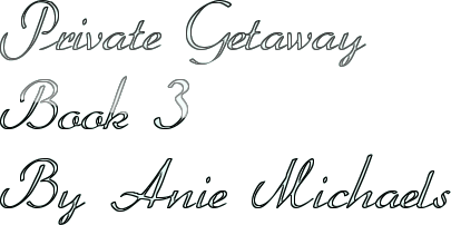 Private Getaway Book 3 By Anie Michaels
