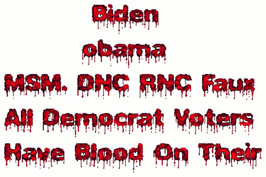           Biden           obama   MSM. DNC RNC Faux  All Democrat Voters  Have Blood On Their 